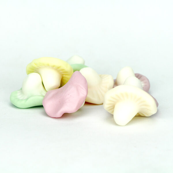 Champignons Fruits
